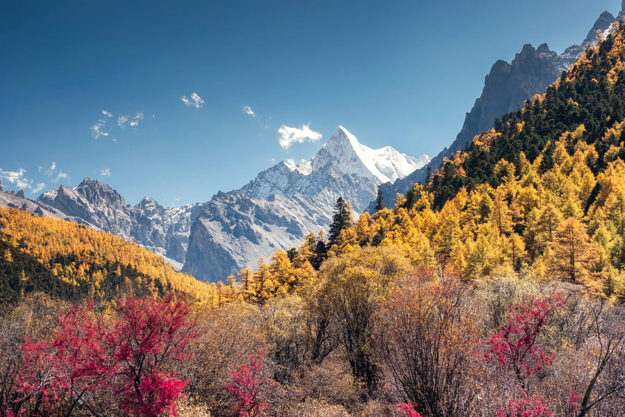 La vegetación de shangrila con un monte nevado detrás